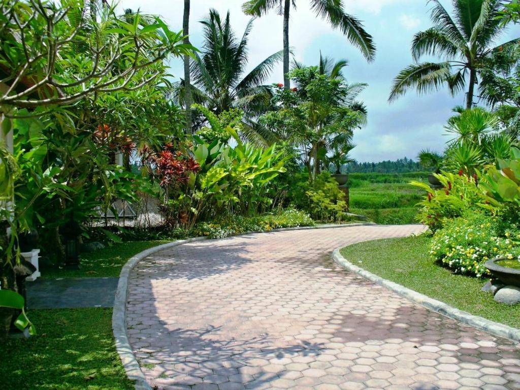 Villa 3152