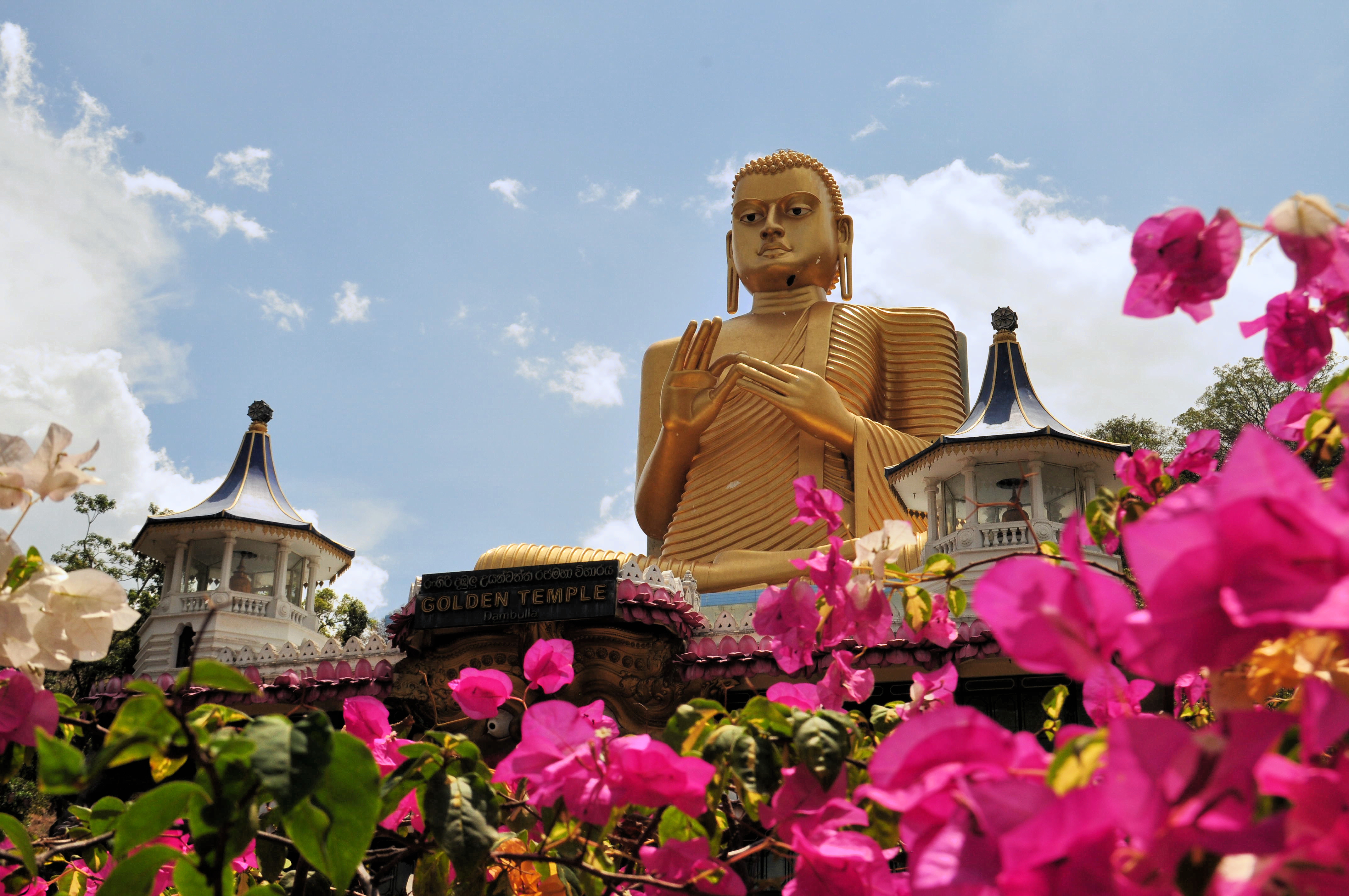Golden Buddha of Dambulla, Sri Lanka. Travel with Villa Getaways