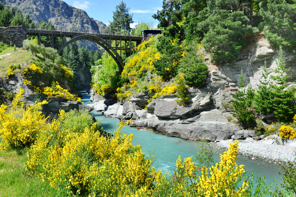 New Zealand in the summer - Queenstown Queenstown