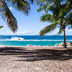 Absolute Beachfront Villas